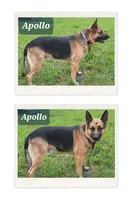 processed/51065c28-9f20-40cd-b23b-5470962c7014/facility/bb142532-ebea-48fd-a55a-e9213c2063c3