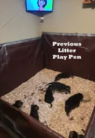 processed/51065c28-9f20-40cd-b23b-5470962c7014/facility/bbb8c676-c33e-40ab-9715-d9e23fbcc3a6