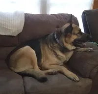 processed/51065c28-9f20-40cd-b23b-5470962c7014/facility/be7a0ce0-2bc2-49dc-84ab-43d1191eae3e