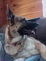 processed/51065c28-9f20-40cd-b23b-5470962c7014/facility/ef915491-5270-4aed-b172-174442fa6b82