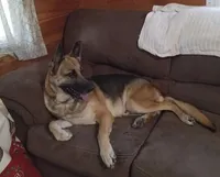 processed/51065c28-9f20-40cd-b23b-5470962c7014/facility/fd0a97ff-c083-4e8d-b0d7-3a792862cee6