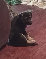 processed/51065c28-9f20-40cd-b23b-5470962c7014/listing/b0c12443-bdbe-435f-98ab-afe7b81d205d/3d26cd55-950e-410e-8d5f-a8f3cd72aa0c