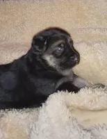 processed/51065c28-9f20-40cd-b23b-5470962c7014/listing/b0c12443-bdbe-435f-98ab-afe7b81d205d/5a0f5e50-0147-4e55-88a8-2ae6d7d4059a