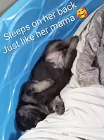 processed/51065c28-9f20-40cd-b23b-5470962c7014/listing/b0c12443-bdbe-435f-98ab-afe7b81d205d/9192d56b-e677-4d0c-b77e-f0ae42265320