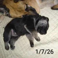 processed/51065c28-9f20-40cd-b23b-5470962c7014/listing/b0c12443-bdbe-435f-98ab-afe7b81d205d/92fee0b0-950b-4a66-a012-3bd68a75505b