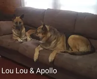 processed/51065c28-9f20-40cd-b23b-5470962c7014/listing/b0c12443-bdbe-435f-98ab-afe7b81d205d/a5222615-014b-4fa9-b1ab-7ecfdcf861ea