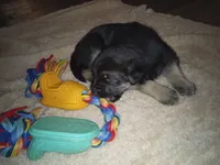 processed/51065c28-9f20-40cd-b23b-5470962c7014/listing/b0c12443-bdbe-435f-98ab-afe7b81d205d/bf3ccd7a-2065-4b1c-8198-ae351d7cdbd5