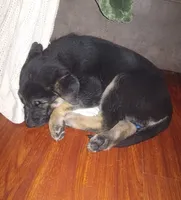 processed/51065c28-9f20-40cd-b23b-5470962c7014/listing/b0c12443-bdbe-435f-98ab-afe7b81d205d/c6eba634-49bf-4896-b209-b3011ffd6d9f