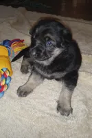 processed/51065c28-9f20-40cd-b23b-5470962c7014/listing/b0c12443-bdbe-435f-98ab-afe7b81d205d/dbfdbc4f-1460-4c0b-b02c-3a6fadc1cf78