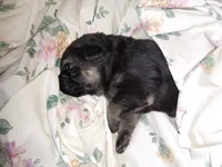 processed/51065c28-9f20-40cd-b23b-5470962c7014/listing/b0c12443-bdbe-435f-98ab-afe7b81d205d/ed245e3c-1433-4a50-b23d-ce7e8986b76f