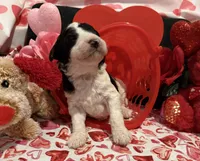 processed/510a89dc-28a0-426d-b5dc-7b2c12336fd2/listing/5fae3312-5948-4326-8320-2dabce0c9421/98667cd6-bdc9-4990-aa49-b263569ff968