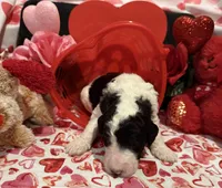 processed/510a89dc-28a0-426d-b5dc-7b2c12336fd2/listing/5fae3312-5948-4326-8320-2dabce0c9421/b9b8c79b-7353-47de-bec0-b8415e56d61a