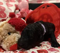 processed/510a89dc-28a0-426d-b5dc-7b2c12336fd2/listing/d1ce76fc-0d9c-48ae-9028-cfb4177bcdd1/0bd7c9ec-45d8-467c-8fa2-f01a00e65f06