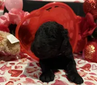 processed/510a89dc-28a0-426d-b5dc-7b2c12336fd2/listing/d1ce76fc-0d9c-48ae-9028-cfb4177bcdd1/c146eb5d-5741-495c-a5cf-cc0b40f05cf4