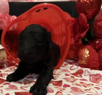 processed/510a89dc-28a0-426d-b5dc-7b2c12336fd2/listing/d1ce76fc-0d9c-48ae-9028-cfb4177bcdd1/e9b461b8-f12b-43e1-9cf7-46ee61ee85d8