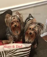 processed/510e0a97-f606-4671-bf73-008e275130ab/facility/4a4bdfa0-811d-4d0f-b402-df452a238797