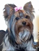 processed/510e0a97-f606-4671-bf73-008e275130ab/facility/68a420e5-4a9c-4e65-b703-9f6113495f76