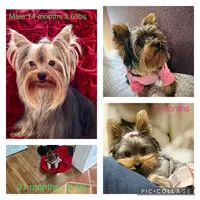 processed/510e0a97-f606-4671-bf73-008e275130ab/facility/ed8ea79e-cbcb-45b9-a92e-ef0cdac9bc62