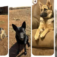 processed/5111f052-0be0-4df8-bf56-ff016e19e278/facility/65686824-4312-42f2-8016-54d75df49dcc