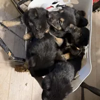 processed/5111f052-0be0-4df8-bf56-ff016e19e278/facility/7ca01dca-f119-475b-aafb-e6d49fbfb33f