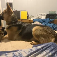 processed/5111f052-0be0-4df8-bf56-ff016e19e278/facility/8c83f87e-227c-45fb-bb04-6eefdcc170cd