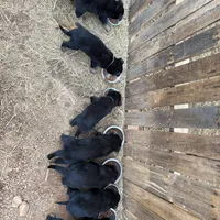 processed/5111f052-0be0-4df8-bf56-ff016e19e278/facility/cce1f301-be8e-4fdc-9085-9f2ffea65f59