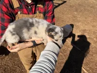 processed/5111f052-0be0-4df8-bf56-ff016e19e278/listing/158696ec-363c-4eb4-af91-9e67ddfceff4/0480a50a-9d87-4b3a-a09e-88dfb47657d2