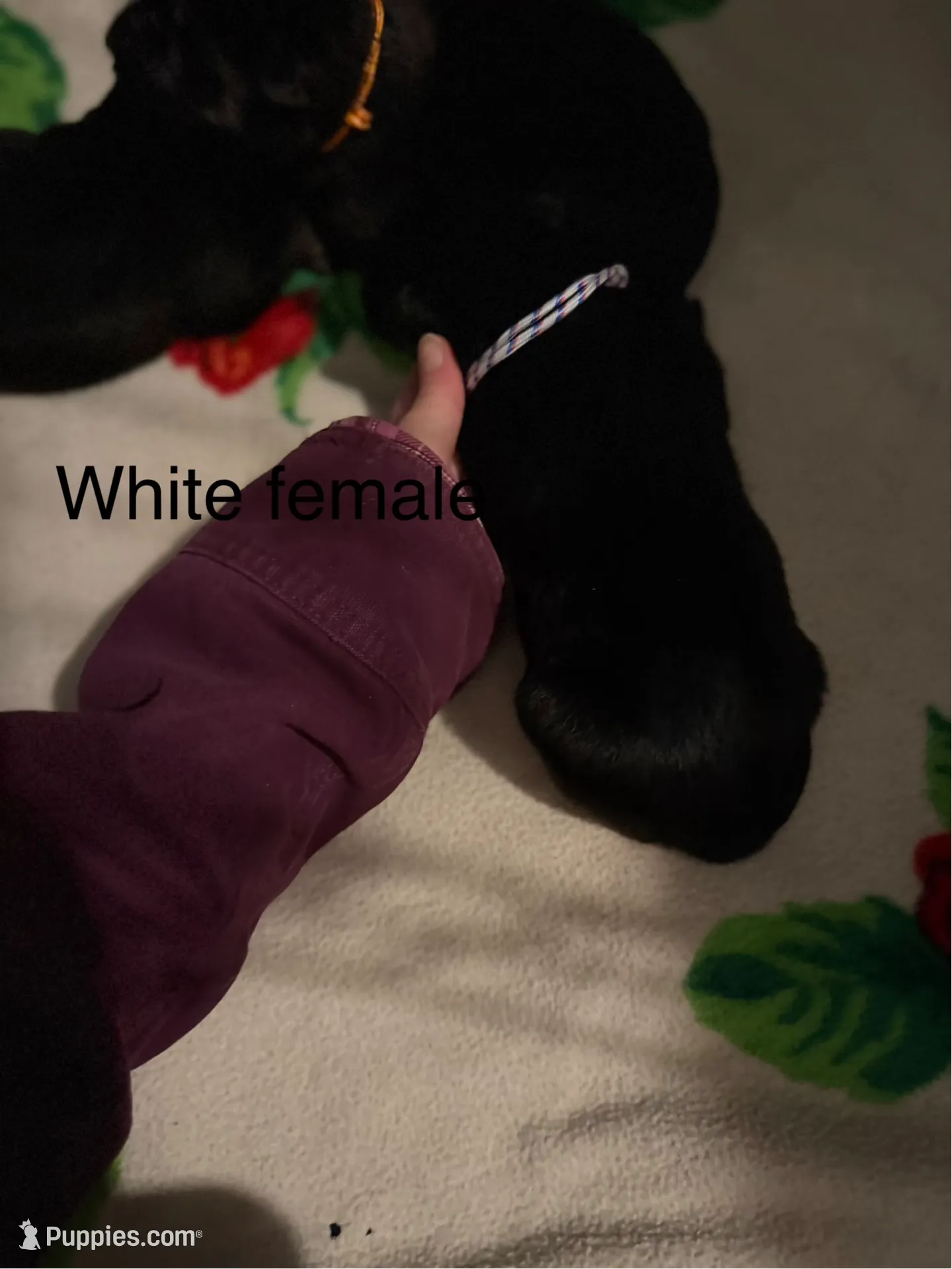 White female