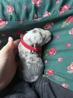 processed/5111f052-0be0-4df8-bf56-ff016e19e278/listing/9c17d6e8-f8ce-4c6d-8327-007f82145715/9380250a-9fb5-4f88-8940-35f90d0f1083