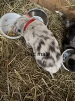 processed/5111f052-0be0-4df8-bf56-ff016e19e278/listing/9c17d6e8-f8ce-4c6d-8327-007f82145715/bdab94f3-46db-4b7d-af25-806c502bdd2a