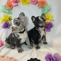 processed/51137f90-6c58-42ac-b968-6ab3b43ee255/facility/02fb9a4e-2a15-49db-9b28-0a839c4f66f7