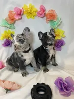 processed/51137f90-6c58-42ac-b968-6ab3b43ee255/facility/02fb9a4e-2a15-49db-9b28-0a839c4f66f7