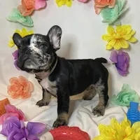 processed/51137f90-6c58-42ac-b968-6ab3b43ee255/facility/0681e498-d923-46bd-b29c-a1a6a5586671