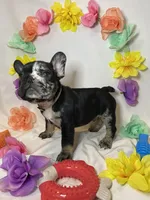 processed/51137f90-6c58-42ac-b968-6ab3b43ee255/facility/0681e498-d923-46bd-b29c-a1a6a5586671