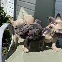 processed/51137f90-6c58-42ac-b968-6ab3b43ee255/facility/24512383-fbf1-4f99-8080-c1ae65dc5c7a