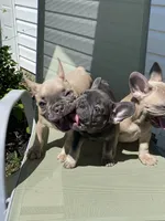 processed/51137f90-6c58-42ac-b968-6ab3b43ee255/facility/24512383-fbf1-4f99-8080-c1ae65dc5c7a