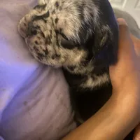 processed/51137f90-6c58-42ac-b968-6ab3b43ee255/facility/373403ed-78e3-4f78-9d00-cfacbde7ab05