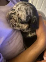 processed/51137f90-6c58-42ac-b968-6ab3b43ee255/facility/373403ed-78e3-4f78-9d00-cfacbde7ab05