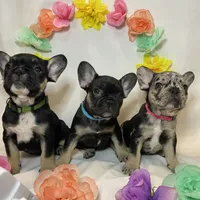 processed/51137f90-6c58-42ac-b968-6ab3b43ee255/facility/4e91196b-fab2-485e-ba02-87cd96badb37