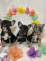 processed/51137f90-6c58-42ac-b968-6ab3b43ee255/facility/4e91196b-fab2-485e-ba02-87cd96badb37