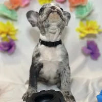 processed/51137f90-6c58-42ac-b968-6ab3b43ee255/facility/8002b4b6-519c-4df0-ba60-c6c98a4f158c