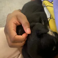 processed/51137f90-6c58-42ac-b968-6ab3b43ee255/facility/92cbb046-54bf-4004-a0f1-98ac95f0b1c9