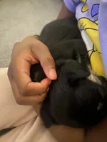 processed/51137f90-6c58-42ac-b968-6ab3b43ee255/facility/92cbb046-54bf-4004-a0f1-98ac95f0b1c9