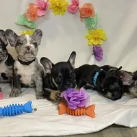 processed/51137f90-6c58-42ac-b968-6ab3b43ee255/facility/a52b5213-335d-4972-8a6c-d6dd39d3cc1a