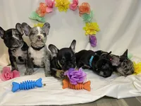 processed/51137f90-6c58-42ac-b968-6ab3b43ee255/facility/a52b5213-335d-4972-8a6c-d6dd39d3cc1a