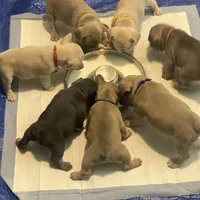 processed/51137f90-6c58-42ac-b968-6ab3b43ee255/facility/bd922f0f-49a0-46fd-b459-523d0541a4c8