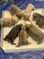 processed/51137f90-6c58-42ac-b968-6ab3b43ee255/facility/bd922f0f-49a0-46fd-b459-523d0541a4c8