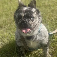 processed/51137f90-6c58-42ac-b968-6ab3b43ee255/facility/dface2a9-6899-42b9-a42b-6fcac189c472