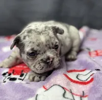 processed/51137f90-6c58-42ac-b968-6ab3b43ee255/listing/3b86e3db-ee6c-4c09-ac95-a56afaf5ca89/9aaf498b-e974-45a9-bacd-811b3344d117