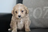 processed/511bc9f1-bb54-4555-9223-bcc421773d6b/listing/28d765e6-e380-4cd3-bd76-71f50f817643/7c7119e6-19aa-407c-a1f1-ca06ffca67ab